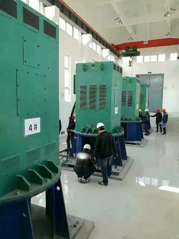龙湾镇某污水处理厂使用我厂的立式高压电机安装现场